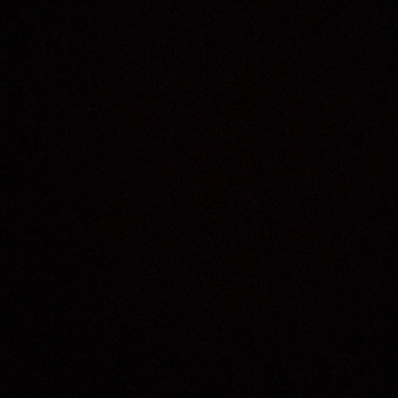 Meet your Posher, Kyra - Picture 1 of 1